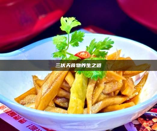 三伏天食物养生之道