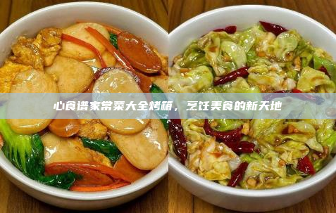 心食谱家常菜大全烤箱,烹饪美食的新天地