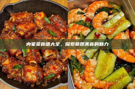 内蒙菜食谱大全,探索草原美食的魅力