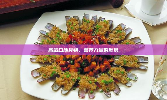 高蛋白质食物,营养力量的源泉
