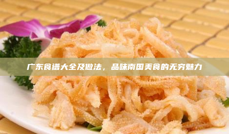 广东食谱大全及做法,品味南国美食的无穷魅力