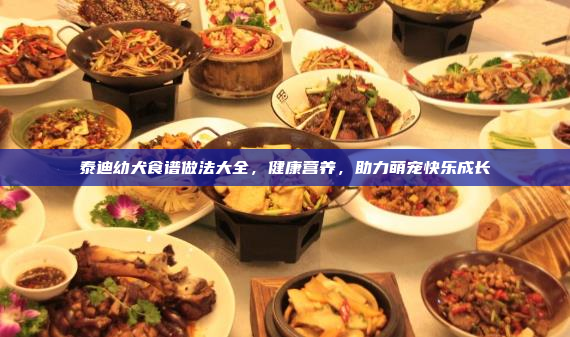 泰迪幼犬食谱做法大全,健康营养,助力萌宠快乐成长