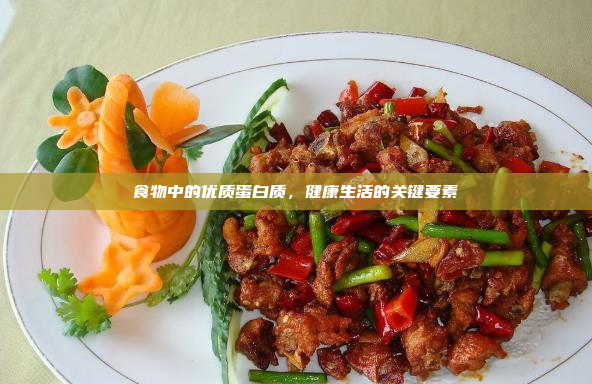 食物中的优质蛋白质,健康生活的关键要素