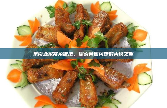 东南亚家常菜做法,探索异国风味的美食之旅
