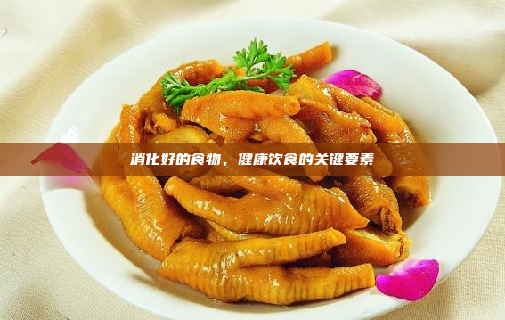 消化好的食物,健康饮食的关键要素