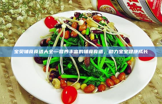 宝贝辅食食谱大全—营养丰富的辅食食谱,助力宝宝健康成长