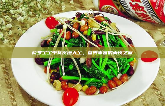 两岁宝宝午餐食谱大全,营养丰富的美食之旅