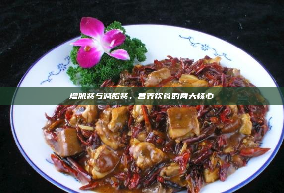 增肌餐与减脂餐,营养饮食的两大核心
